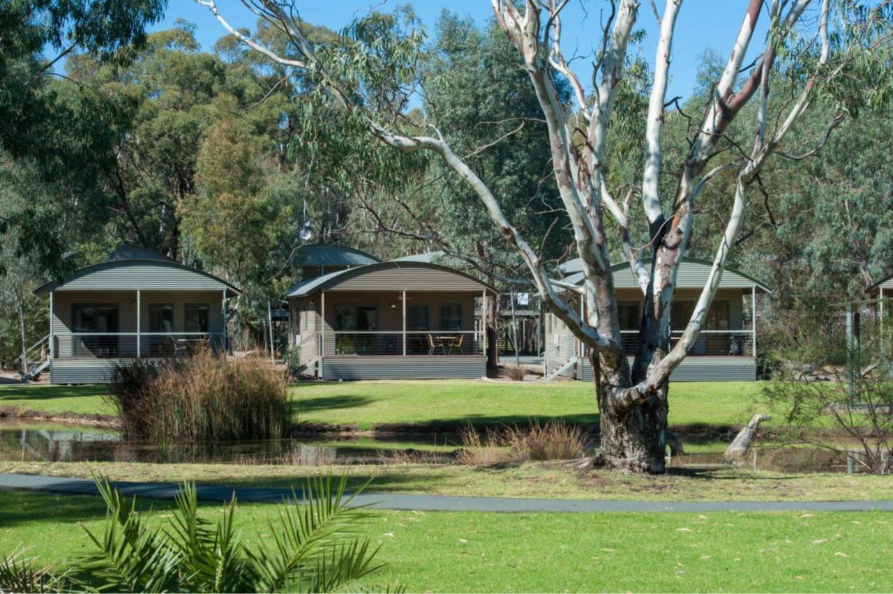 Tasman Holiday Parks - Moama On The Murray Extérieur photo